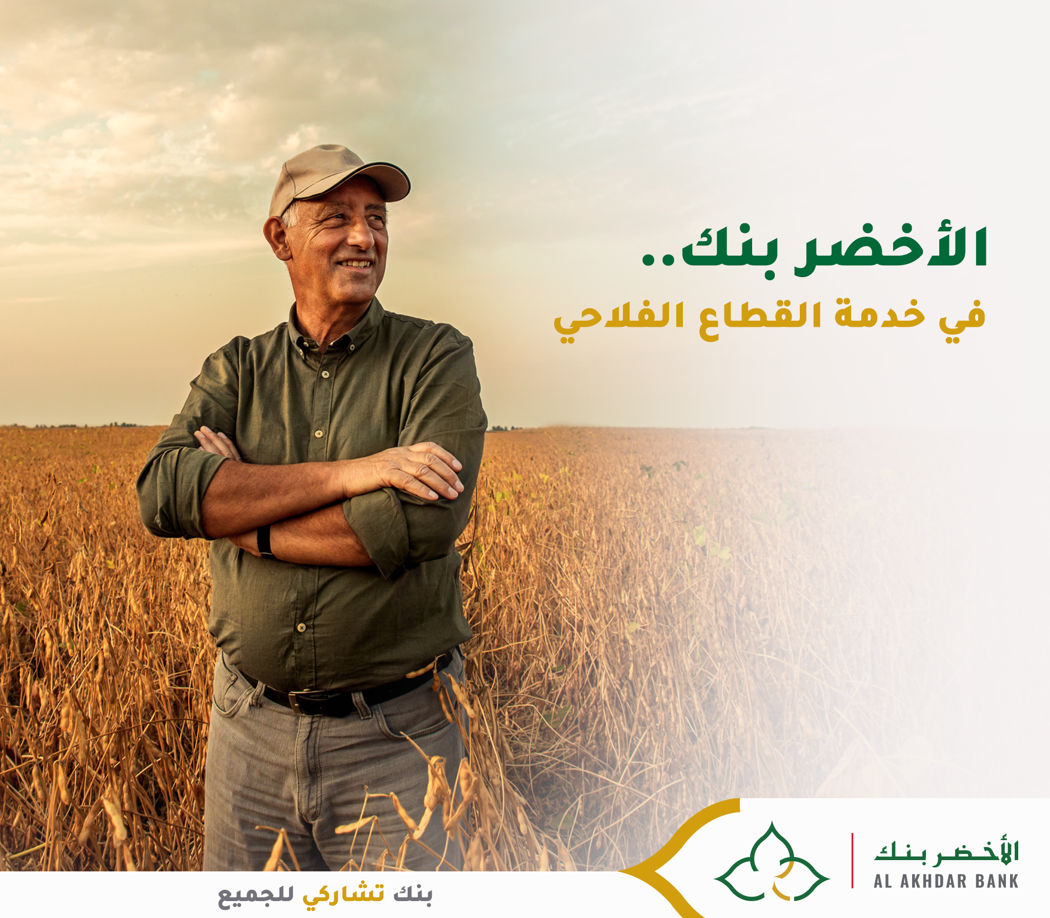 Strategie Digitale Aab 12